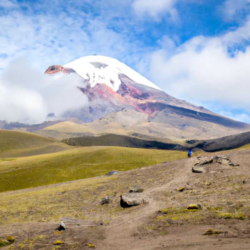 Pasochoa Wildlife Refuge&#58; An Oasis amidst Cotopaxi's Grandeur in Summer Sun