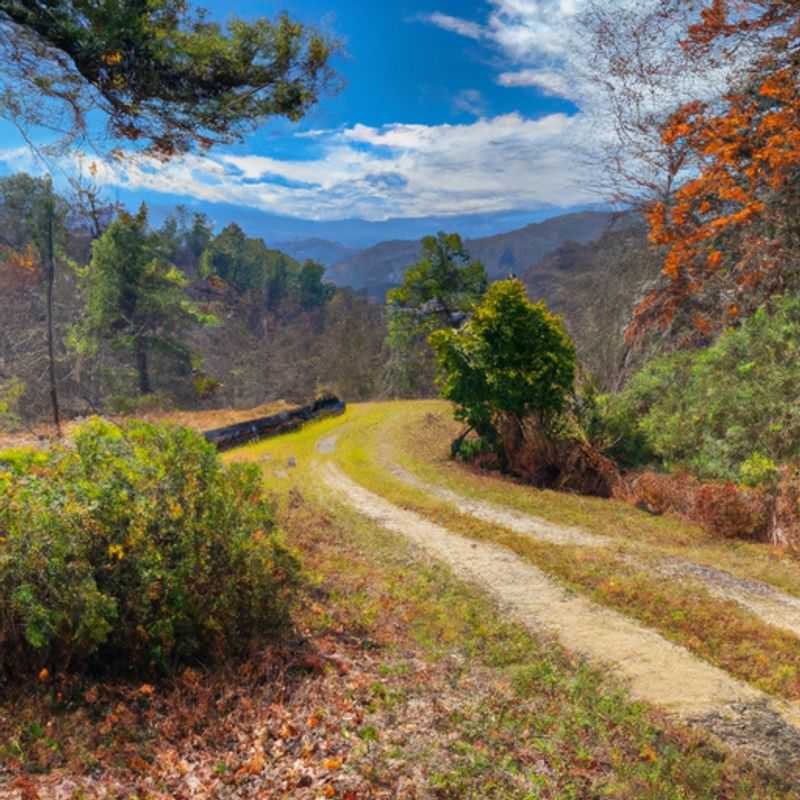 Spring into Adventure&#58; Unveiling the Enchanting Foothills Trail in Table Rock State Park